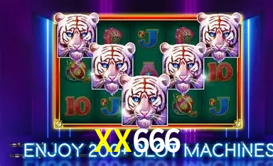 Explore as vantagens do XX666: serviço profissional e confiabilidade